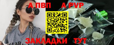 скорость Кингисепп